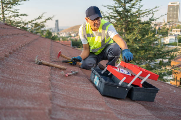 Best Vinyl Siding Installation  in Jackpot, NV